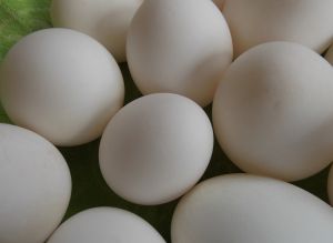 反應市場變化！鴨蛋每斤漲3元　農委會：不影響端午供應
