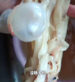 ▲這條鯽魚腹部內只剩下「白麵條」,其餘器官已經消失。(圖/微博黃岡周邊事) ▲這條鯽魚腹部內只剩下「白麵條」,其餘器官已經消失。(圖/微博黃岡周邊事)