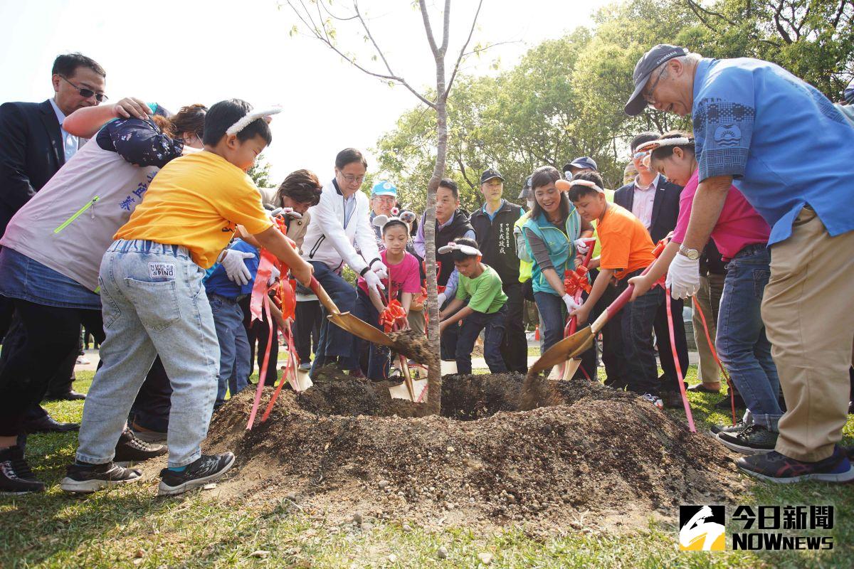 ▲張善政號召市民朋友共同種下9株喬木及1千株灌木，希望透過種樹讓龍岡公園成為「社區綠肺」。（圖／記者李春台攝，2023.03.12）