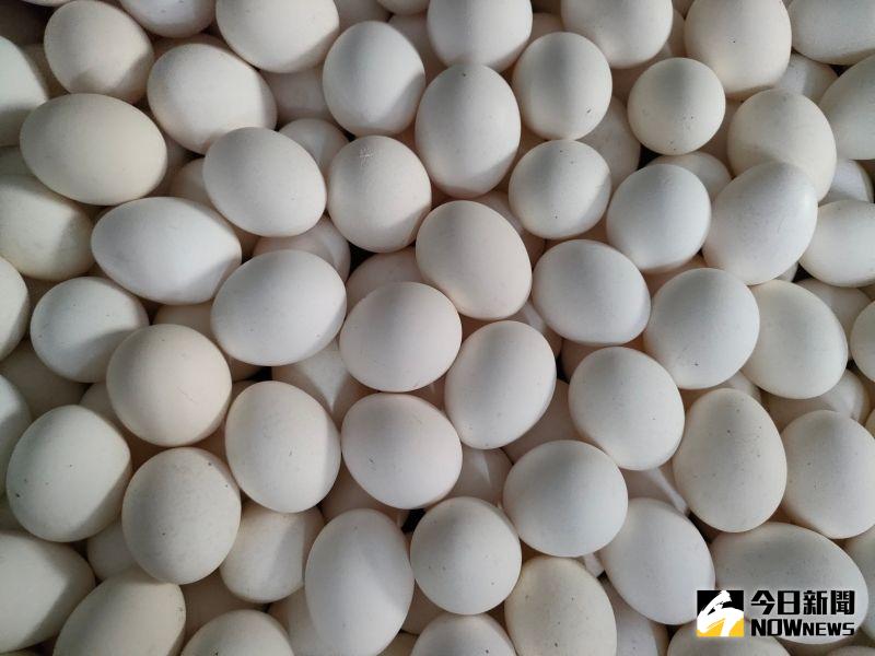 ▲為解台灣缺蛋危機，農委會自國外進口大量雞蛋，並優先供應超商、超市及量販店，但也遭疑有圖利之嫌。（圖／記者許若茵攝）