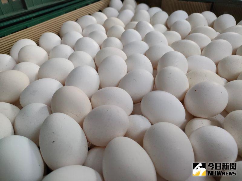 ▲國內蛋荒持續擴大，農委會主委陳吉仲日前表示，這2個月樂意提供國軍相關豆製品補充蛋白質。（圖／記者許若茵攝）