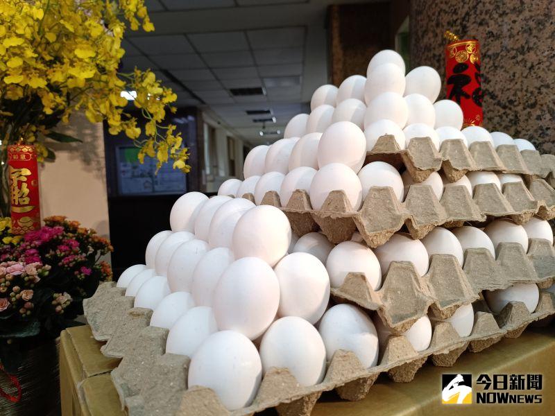 ▲今（22）日農委會主委陳吉仲表示，現在產能持續增加，4月、5月會各再進口超過3000萬顆以上雞蛋，弭補短期不足。（圖／記者許若茵攝）