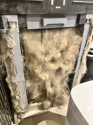 推主貼出自家空氣清淨機的濾網的模樣。(圖/Twitter:Rusjpa) ▲推主貼出自家空氣清淨機的濾網的模樣。(圖/Twitter:Rusjpa)