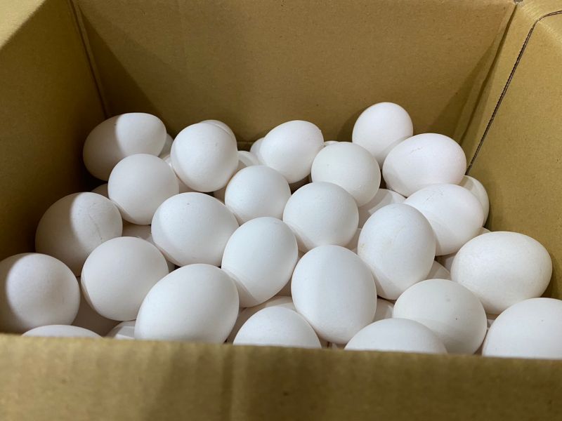 ▲近期台灣雞蛋產能受到影響，一些通路、民眾苦喊買不到雞蛋。（圖／記者潘毅攝）