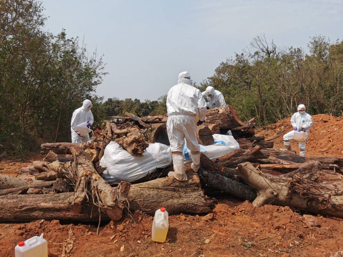 ▲今（17）日防檢局召開臨時記者會，宣布本土首檢出H9N2禽流感。（圖／防檢局提供）