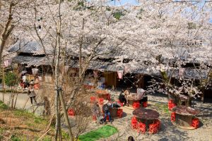 日本知高線為影劇取材熱門地點, ▲日本知高線為影劇取材熱門地點,
