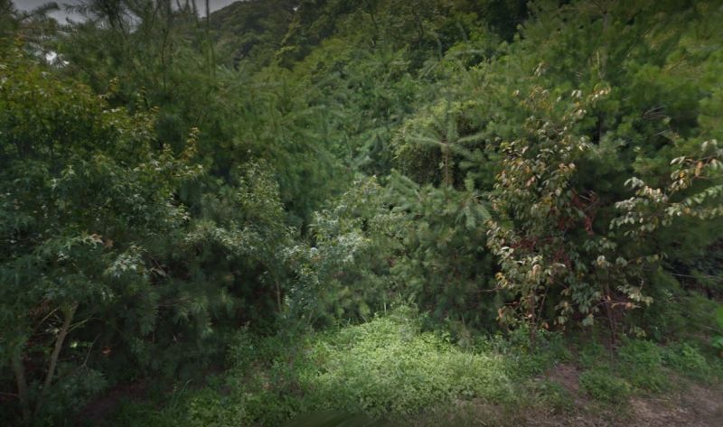 ▲70歲的江姓婦人與12歲的孫女，被發現於三義鄉佛頂山附近步道的竹林中輕生雙亡。（圖／翻攝googlemap） 