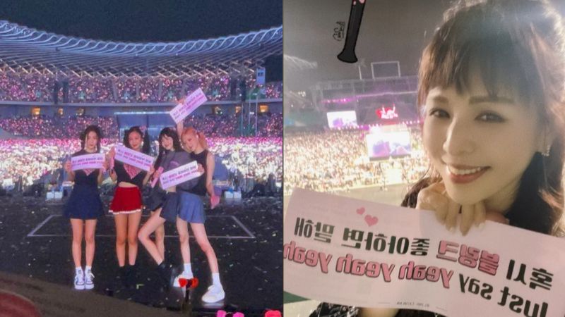 ▲林葉亭朝聖BLACKPINK演唱會,凍齡近貌曝光。(圖/記者陳雅蘭攝、翻攝自林葉亭IG)
