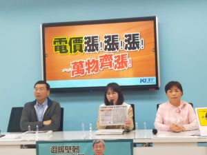 蔡政府任內電價3度調漲　國民黨團轟「承諾跳票」
