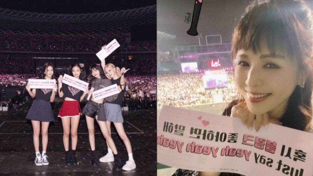 ▲林葉亭朝聖BLACKPINK演唱會，凍齡近貌曝光。（圖／翻攝自YG Entertainment、林葉亭IG）