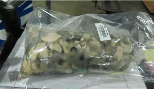 越南蚵肉檢出劇毒「無機砷」　6786公斤遭退運銷毀
