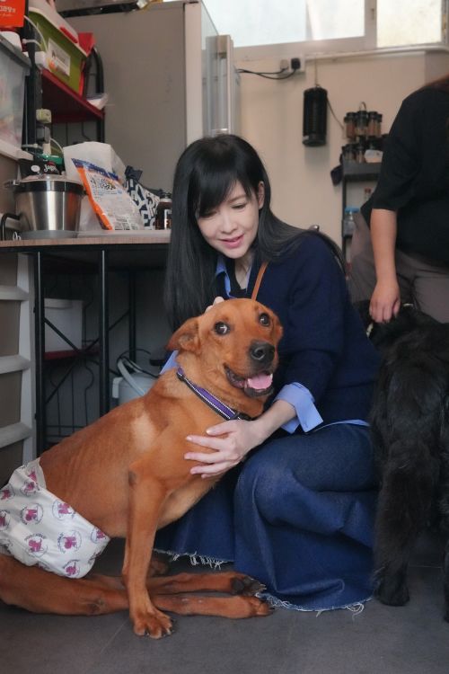 ▲▼周慧敏探訪流浪動物之家。(圖/翻攝自周慧敏臉書) ▲▼周慧敏探訪流浪動物之家。(圖/翻攝自周慧敏臉書)