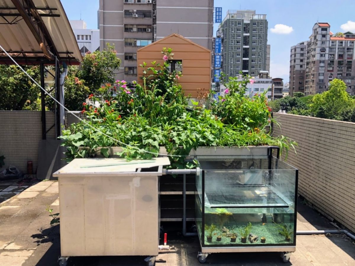 ▲國立台中科大與虎尾科大，兩校師生攜手設計「智慧永續農業系統」，讓住在都會的老人，在家就能養雞、種菜。（圖／中華創新發明學會提供）