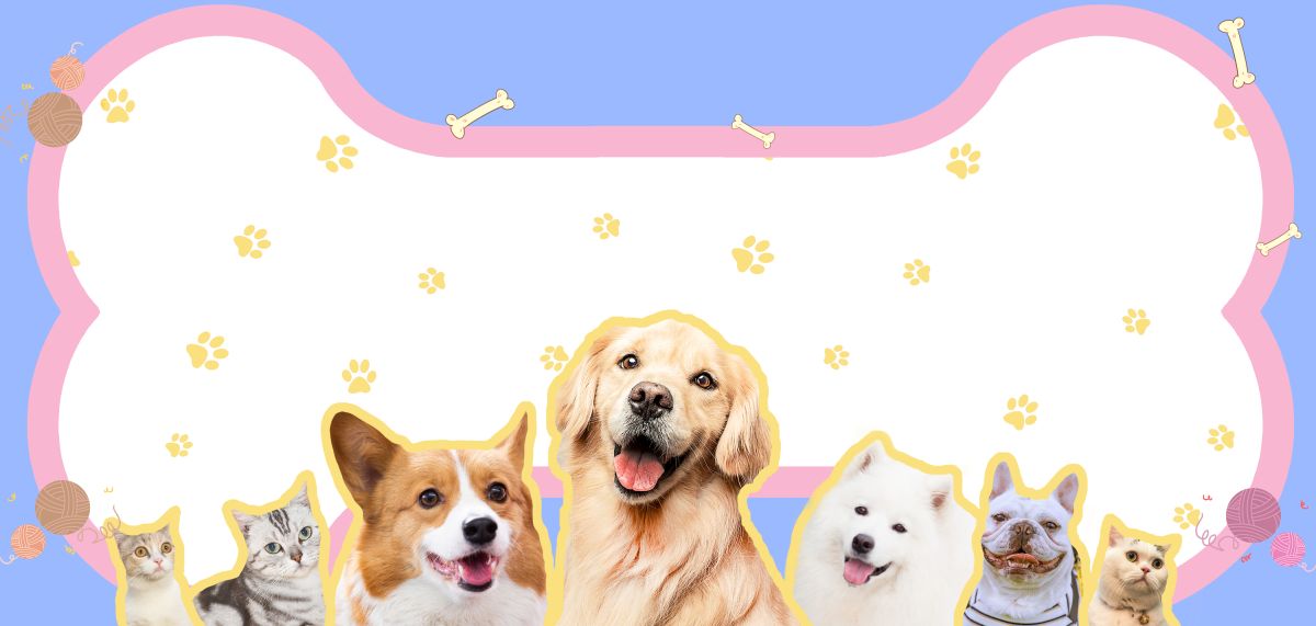 ▲寵物禮儀市場需求日益提升。(圖／品牌提供)