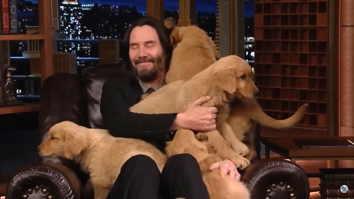 ▲ 基努李維分身現蹤《捍衛任務4》首映會，本尊上節目被「狗海」淹沒。（圖／翻攝自The Tonight Show）