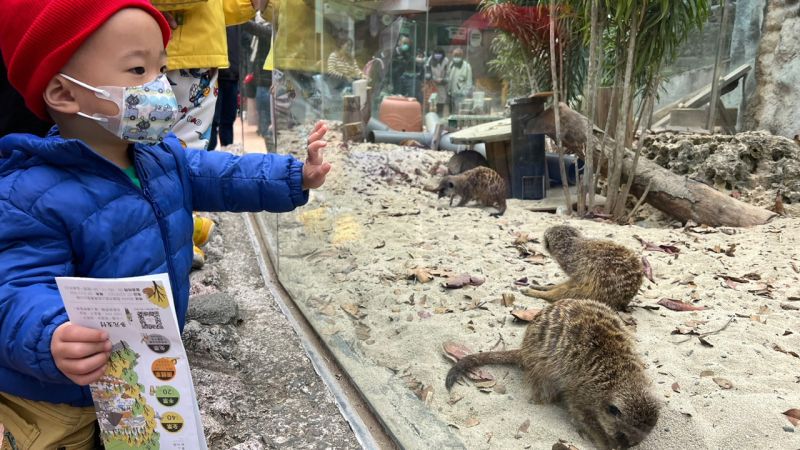 ▲壽山動物園為慶祝兒童節，開放全國12歲以下兒童4月1日至4月5日免費入園，今再宣布每日現場再加碼1000張門票。（圖／高市府觀光局提供）