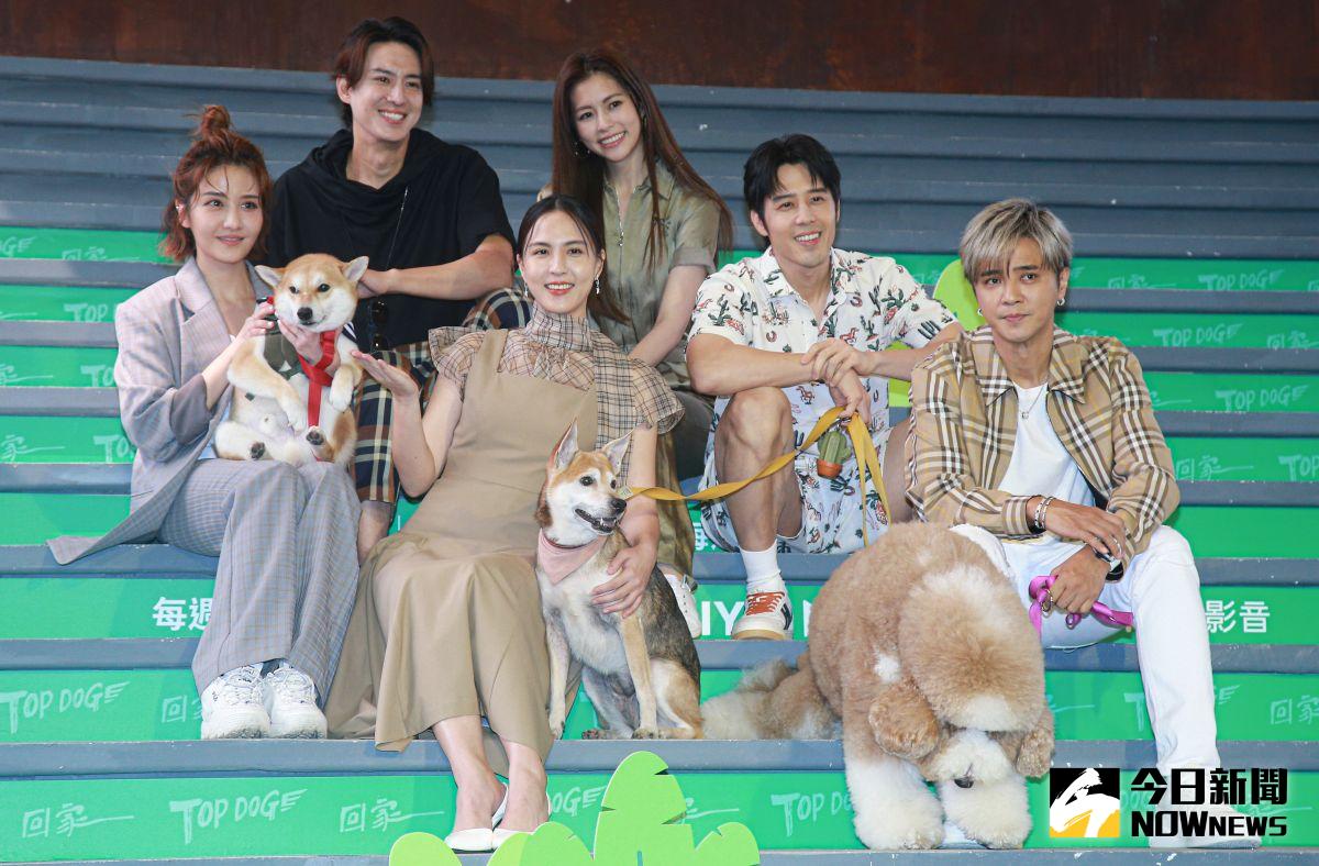 ▲李宣榕（左起）、陳楚河、魏蔓、任容萱、胡宇威、羅志祥主持的寵物實境節目《TOP DOG回家》，內容相當催淚，也讓他們圈了不少粉 。（圖／記者葉政勳攝 , 2023.03.24）