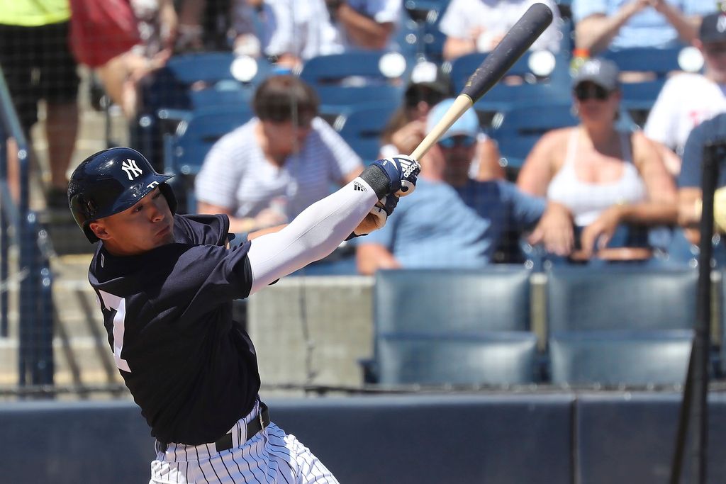 ▲洋基大物新秀Anthony Volpe（圖／美聯社／達志影像）