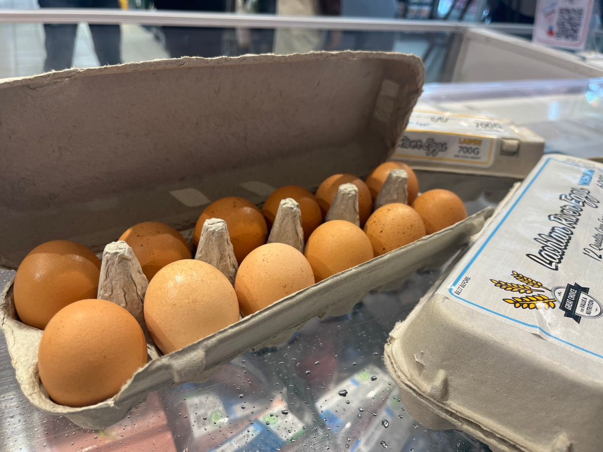 ▲家樂福今早開賣澳洲進口蛋，開賣約一小時就全數搶空。（圖／記者鍾怡婷攝）