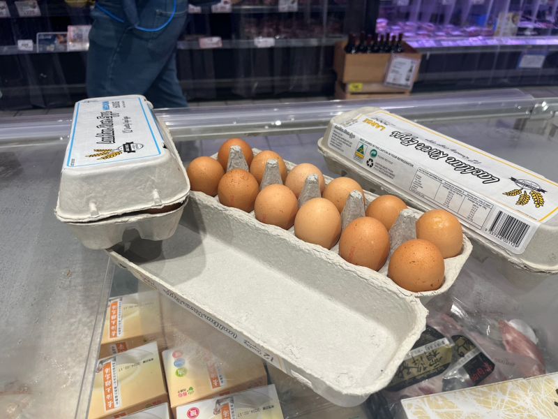▲農委會為了解決缺蛋的問題，從三月開始專案進口雞蛋，29日已經在許多通路陸續上架。（圖／記者鍾怡婷攝）