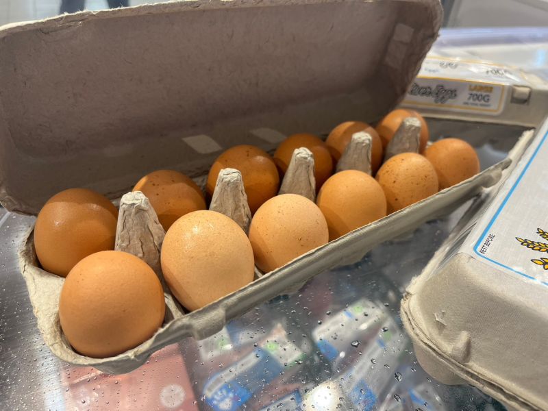 ▲雞蛋的差異依照影響大小來排序，主要是新鮮度、生長環境種類、飼料等三大因素。（圖／記者鍾怡婷攝）