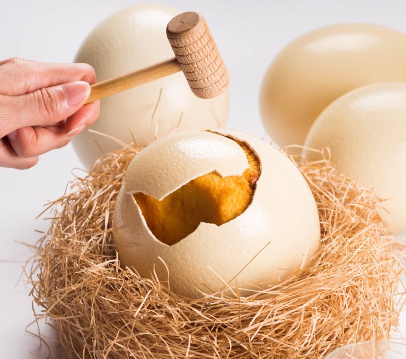 ▲晶華酒店看準兒童節，於4/1到4/30推出一系列「出奇蛋」活動中，竟有用鴕鳥蛋殼盛裝的蛋糕，相當有趣。（圖／晶華提供）