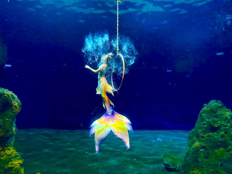 ▲美人魚們在水中不斷製造出愛心造型的浮泡,夢幻令人驚艷。(圖/記者蕭涵云攝)