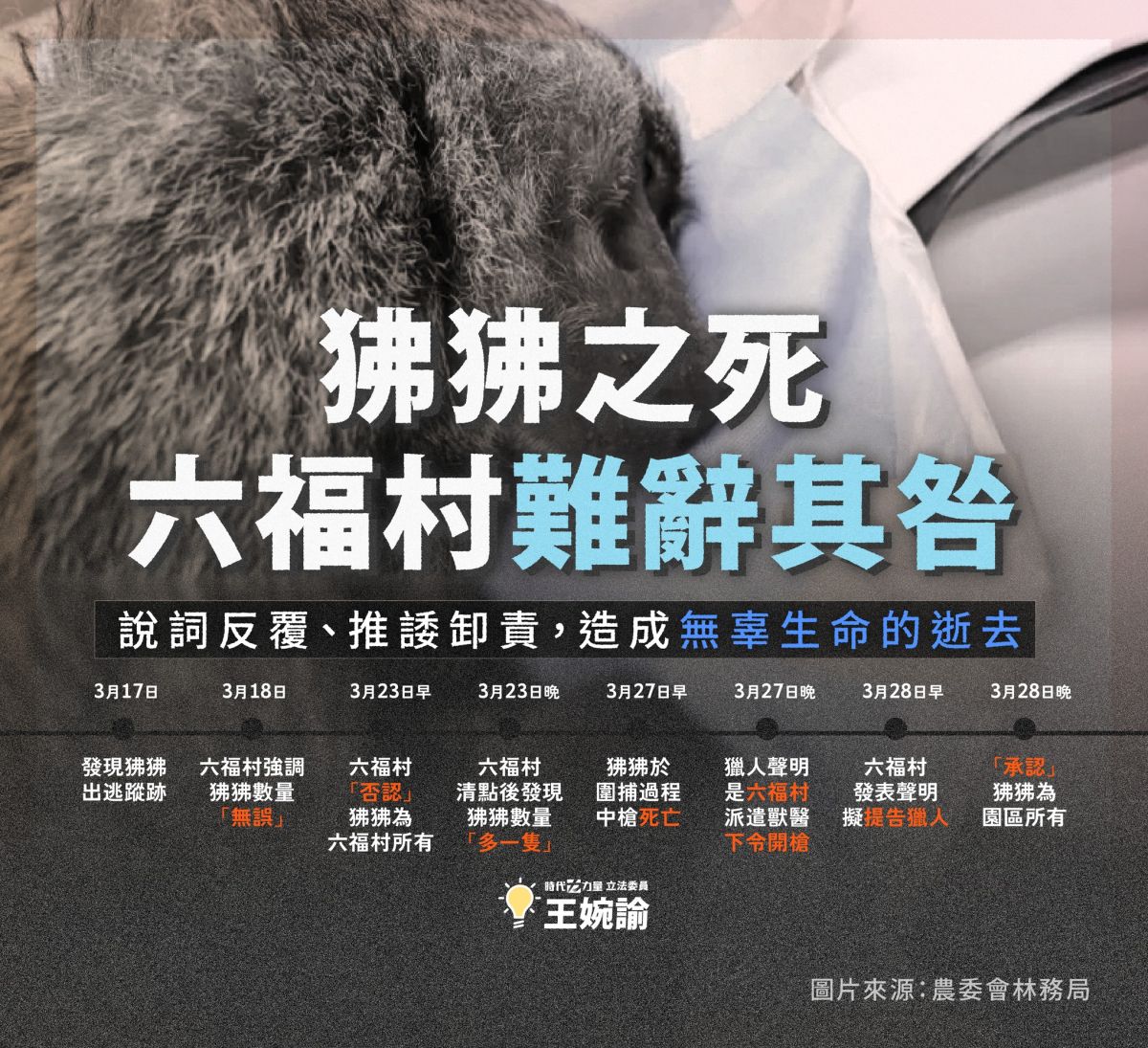 ▲東非狒狒之死，立委王婉諭籲檢討動物圍捕責任歸屬及程序。（圖／翻攝自王婉諭臉書）