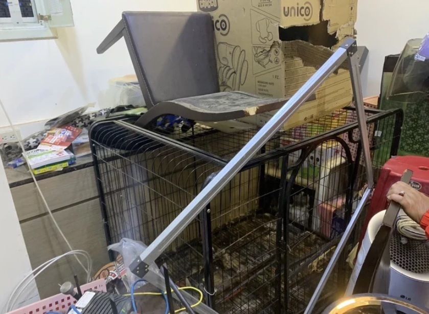 ▲自稱竹聯幫明仁會的陳姓男子，謊稱要償還5萬元債款，竟將債主蕭姓男子騙到家中，要脅關押囚禁狗籠，逼蕭男簽下和解書。（圖／翻攝畫面）  