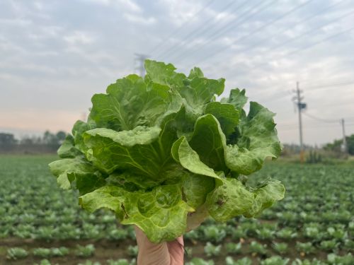 今日歷史/6月7日世界食品安全日!由來是全球每年約300萬人死因