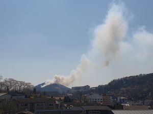 韓多地發生野火！首爾市區罕見山林火災　120戶居民撤離
