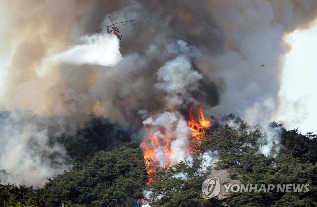 ▲韓國仁王山的山林大火燃燒超過25小時後才撲滅。（圖／翻攝自韓聯社）