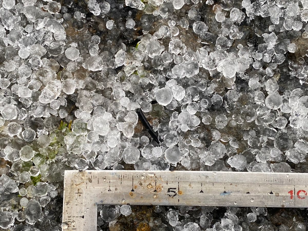 ▲清明連假最後一天，玉山在下午3點左右，竟然下起冰雹。（圖／玉山氣象站提供）