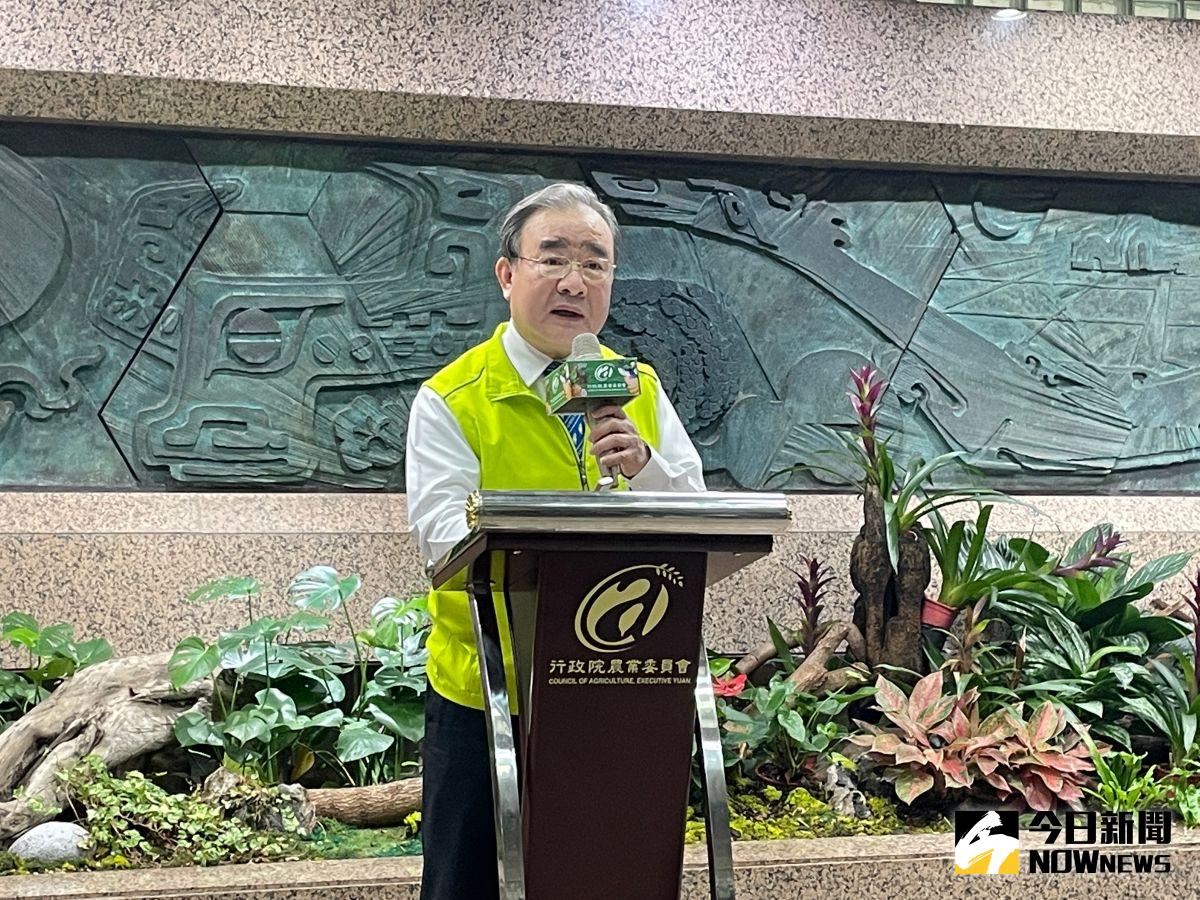 ▲農糧署署長胡忠一表示，由於去（2022）年鳳梨價格好，導致農民今（2023）年透過催花提前採收。（圖／記者黃仁杰攝,2023.04.06）