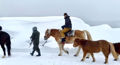 ▲台灣沒有的「雪地騎馬」，搭配漫天飛舞的飄雪更夢幻。（圖／記者蕭涵云攝）