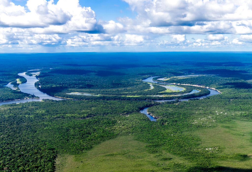 ▲巴西總統魯拉將協調亞馬遜地區國家立場，重申各國對亞馬遜的主權，並要求已開發國家兌現承諾。（圖／美聯社／達志影像）