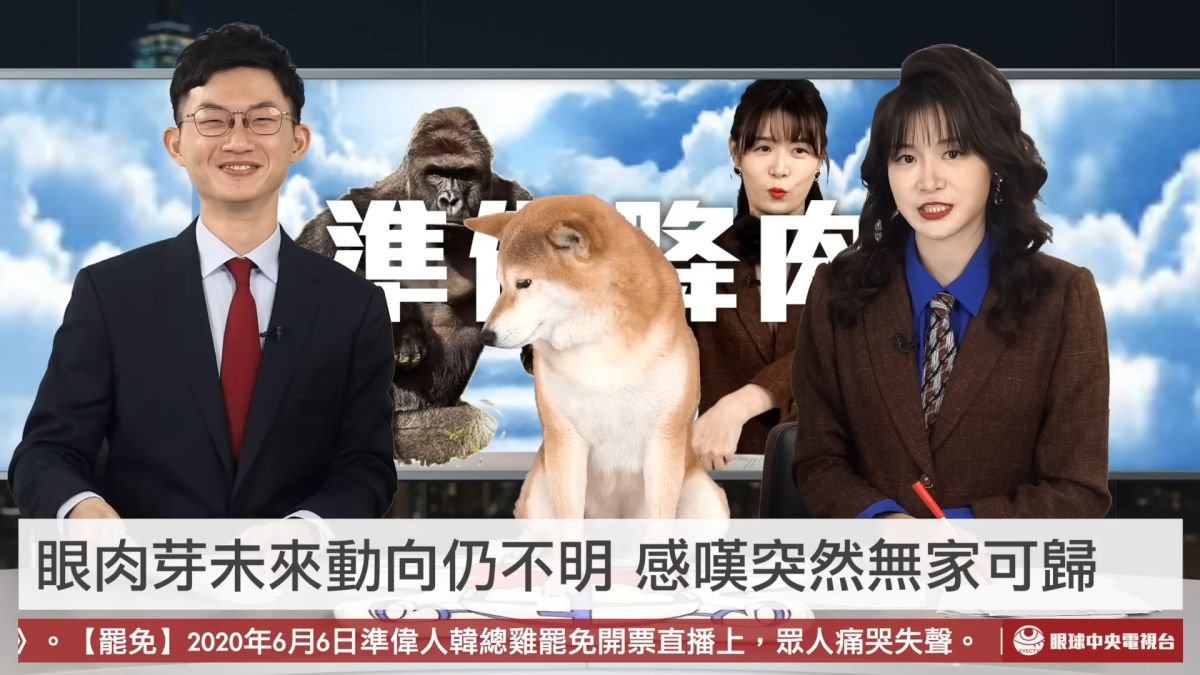 ▲眼肉芽（右）透露未來要去開計程車。（圖／眼球中央電視台YouTube）