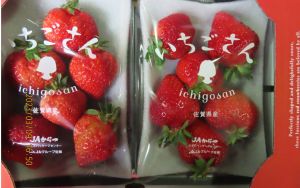 日本草莓、中國猴頭菇又違規！逐批查驗延長至5月底
