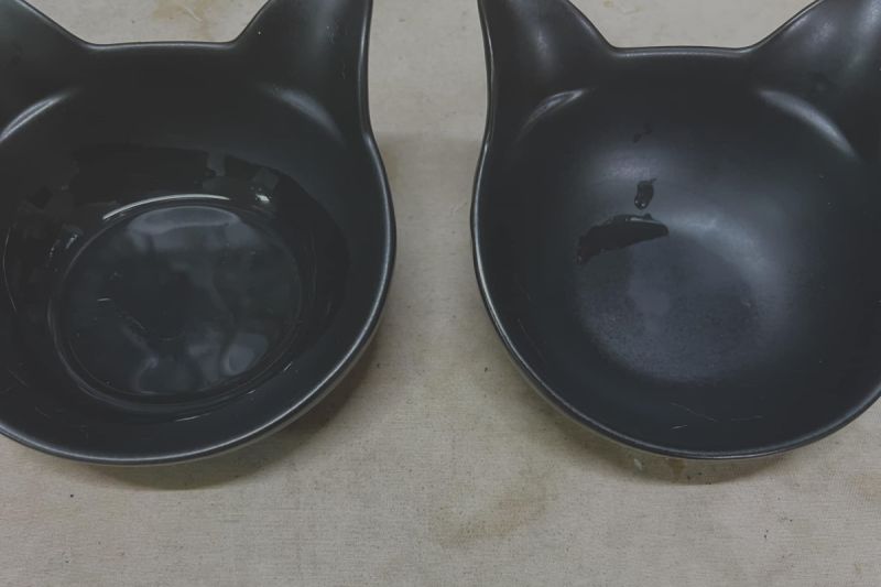 ▲李小姐表示用黑碗以後，家中的貓更愛喝水了。（圖／李御妍授權提供）