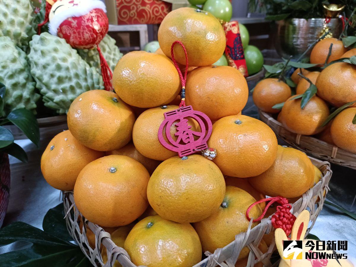 ▲陽明交大今（11）日證實柑橘類果皮含有「橙皮苷（hesperidin）」，經轉化後的「橙皮素」能逆齡回春。（圖／記者許若茵）