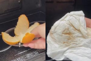 ▲橘子皮是清潔微波爐的神器。（圖／Instagram：misato_souji.kataduke）