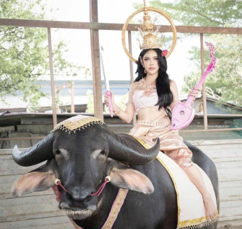 ▲泰國網紅Nutt Nisamanee穿上潑水節應景的服裝，騎在水牛身上拍照。（圖／翻攝自Bangkok Post）