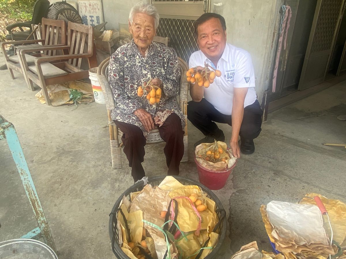 ▲聽到曾朝榮願將已採的枇杷全買下，憂愁多日的洪阿嬤終於有了笑臉。（圖／莊競程服務處提供，2023.04.13）