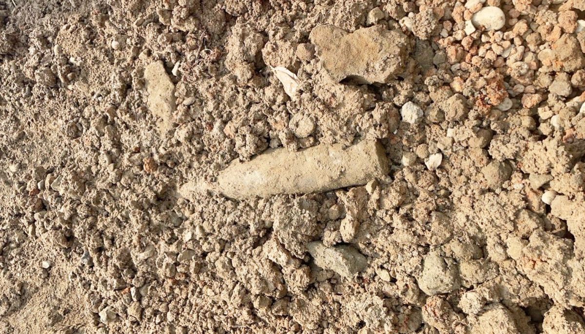 ▲這枚疑似未爆彈長約30公分，寬約10公分，陸軍第六軍團未爆彈處理人員到場鑑識後確認為「木質圓柱體廢棄物」，並非未爆彈。（圖／記者李春台翻攝）