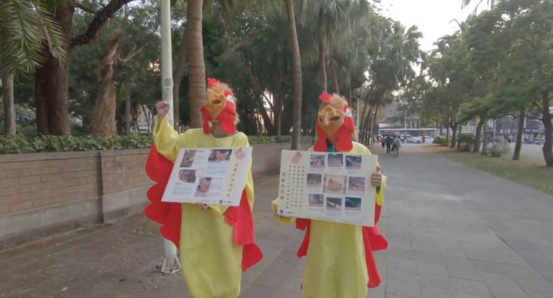 ▲台大動物權益發展社穿上母雞裝，走上街頭為母雞權益發聲。（圖／康仲誠攝）