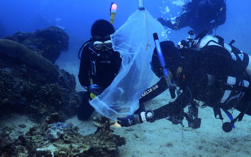 ▲台達電海洋志工在海生館團隊指導下，在珊瑚產卵時協助珊瑚標誌和採集作業。（圖／台達電提供）