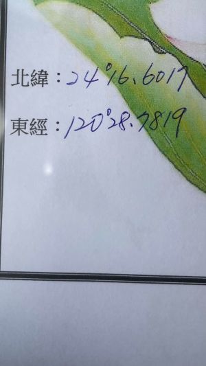 ▲(圖/翻攝自李坤城臉書) ▲(圖/翻攝自李坤城臉書)