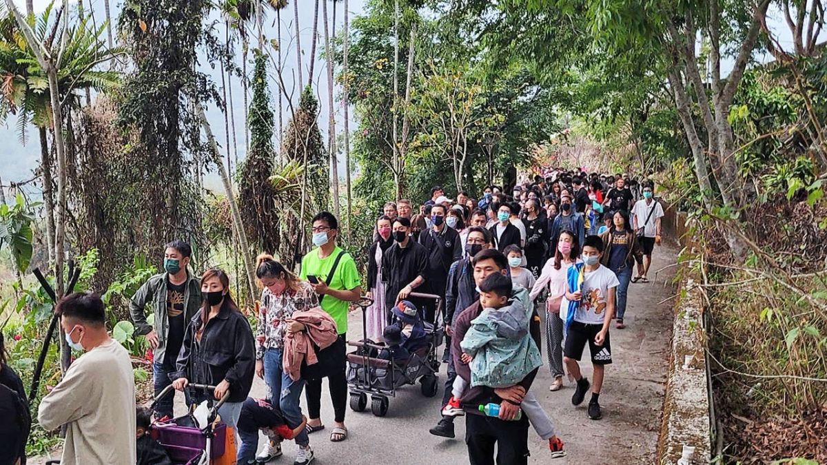 ▲那瑪夏區復育螢火蟲有成，全台有60幾種螢火蟲，那瑪夏就有15種，是一生中必去的「天堂美景」。（圖／高市府原民會提供）