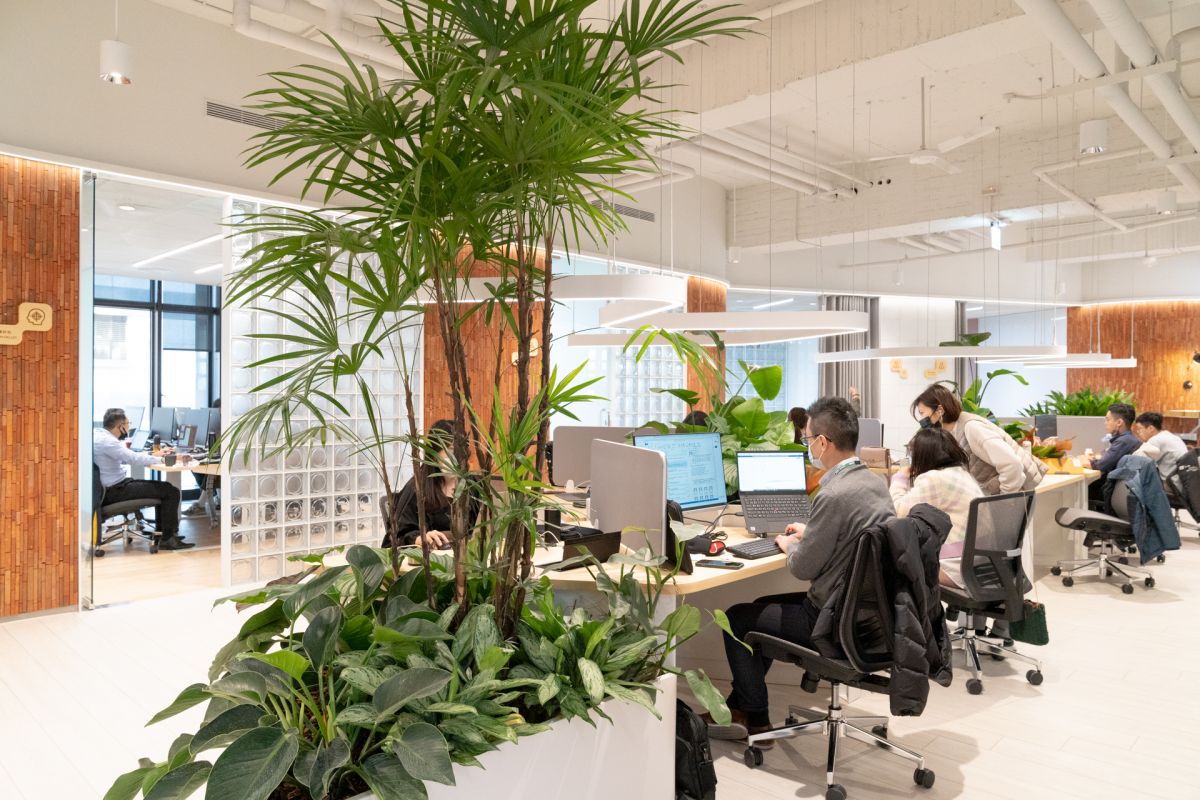 ▲信義房屋數位轉型基地採開放式、無固定座位的混合辦公模式，打散部門藩籬、易於互相溝通。（圖／資料照片）
