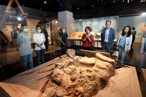 科博館「同火的日子」特展    臺灣考古學界珍貴蒐藏亮相
